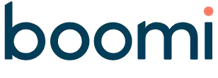 boomi logo partner